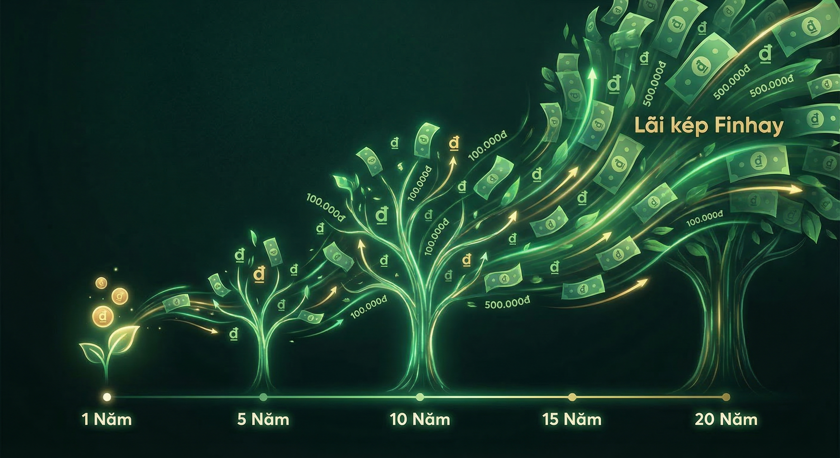 Sức mạnh lãi kép khi đầu tư từ 100.000đ mỗi tháng